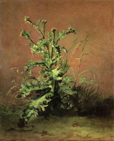 Cardi da Édouard Manet